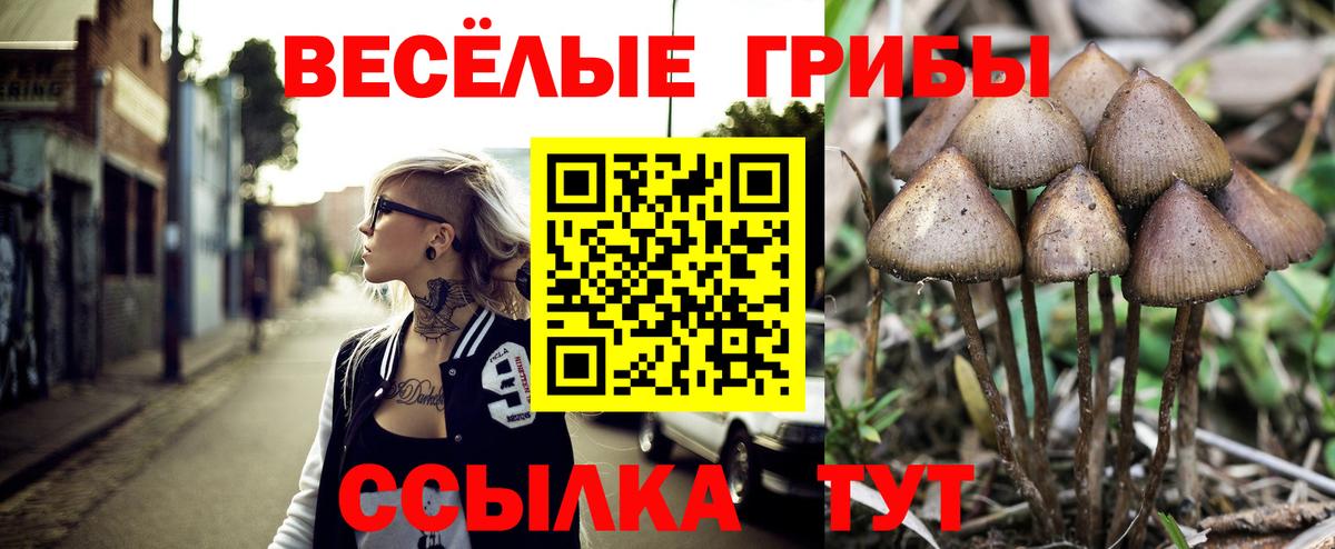 Галлюциногенные грибы ЛСД Гулькевичи